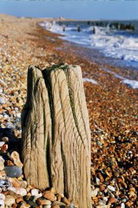 Local Winchelsea Beach The George in Rye