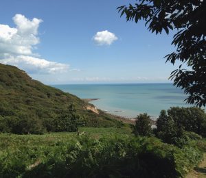 Fairlight cove The George in Rye